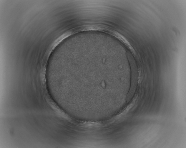 X0000113550786200910161433