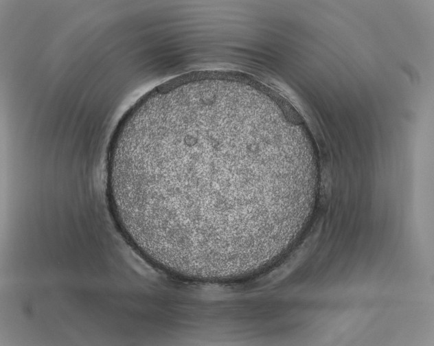 X0000113550787200910161433