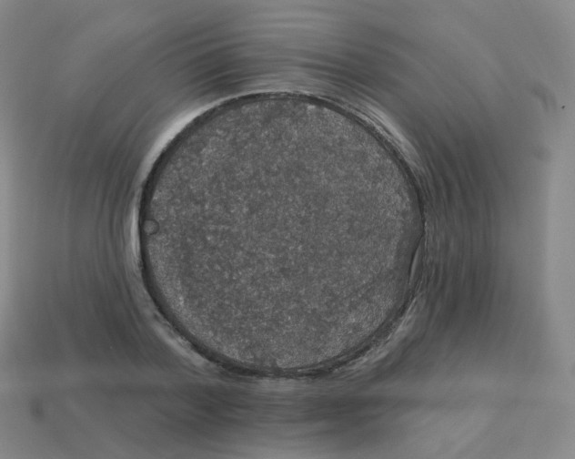 X0000113550788200910161433