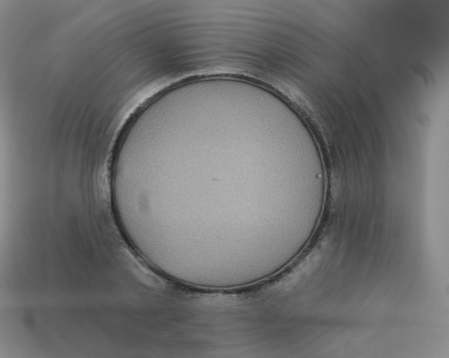 X0000113550789200910161433