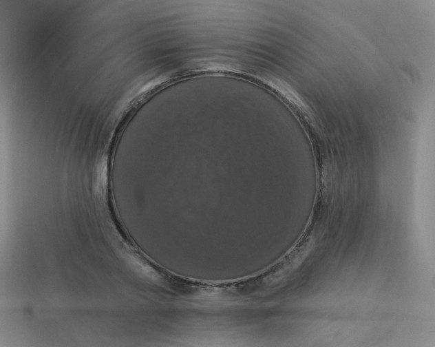 X0000113550790200910161433