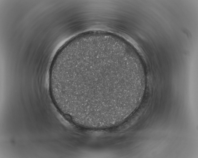 X0000113550791200910161433
