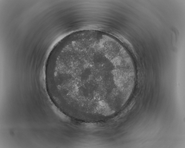 X0000113550792200910161433