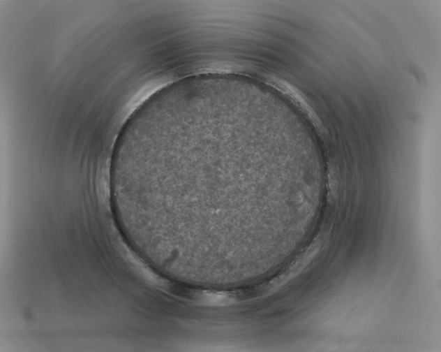X0000113550794200910161433