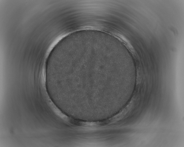 X0000113550796200910161433