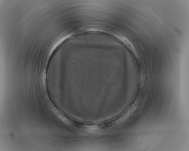 X0000113550798200910161433