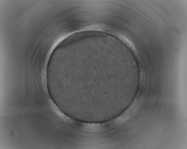 X0000113550800200910161433