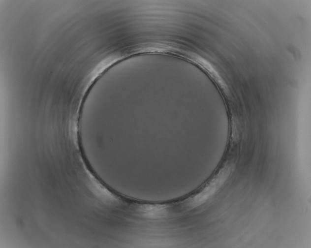 X0000113550802200910161433