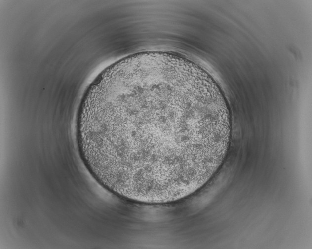 X0000113550803200910161433