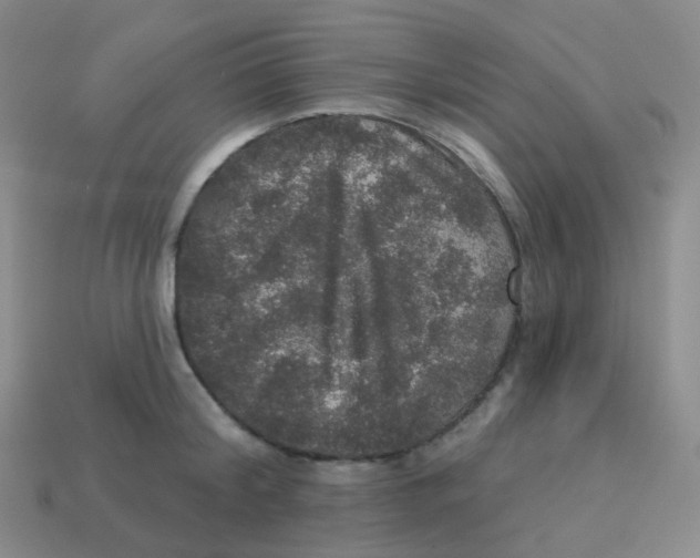 X0000113550804200910161433