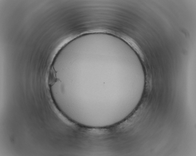 X0000113550805200910161433