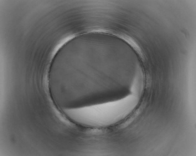 X0000113550806200910161433
