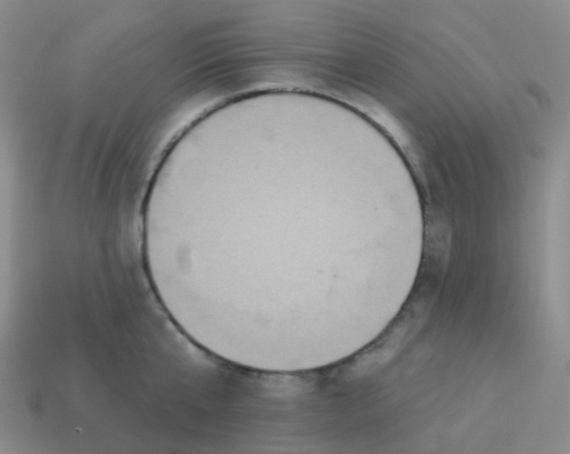 X0000113550807200910161433