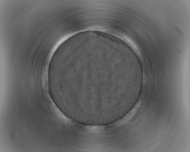 X0000113550808200910161432