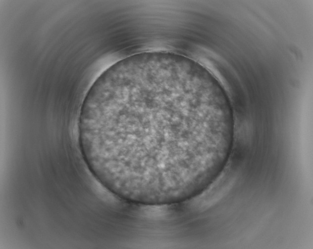 X0000113550810200910161432