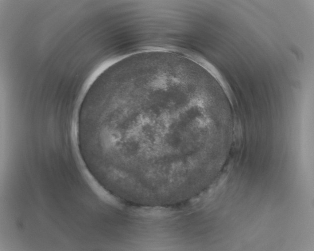 X0000113550811200910161432