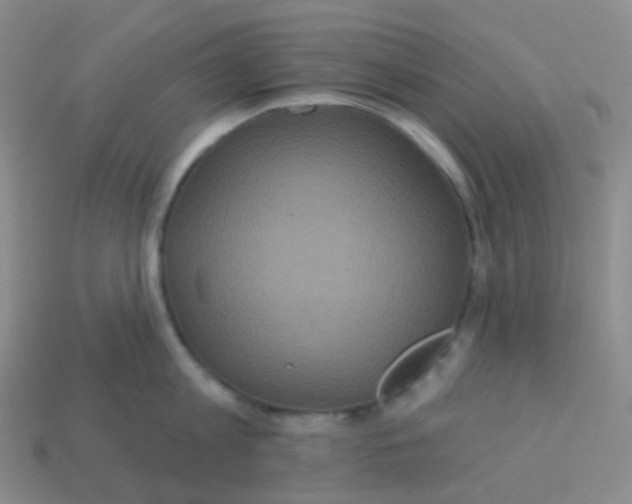 X0000113550813200910161432