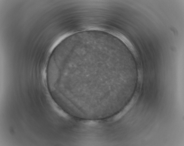 X0000113550814200910161432