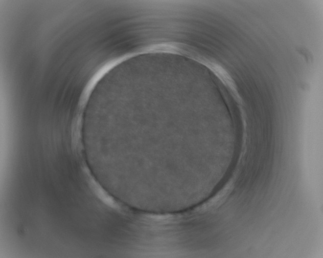 X0000113550816200910161432