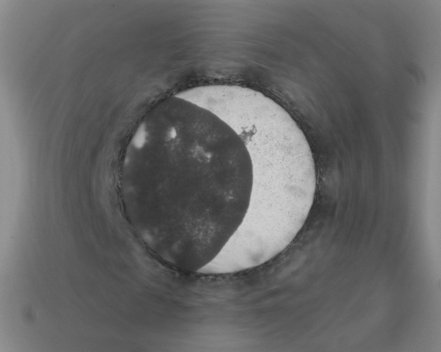 X0000113550817200910161432