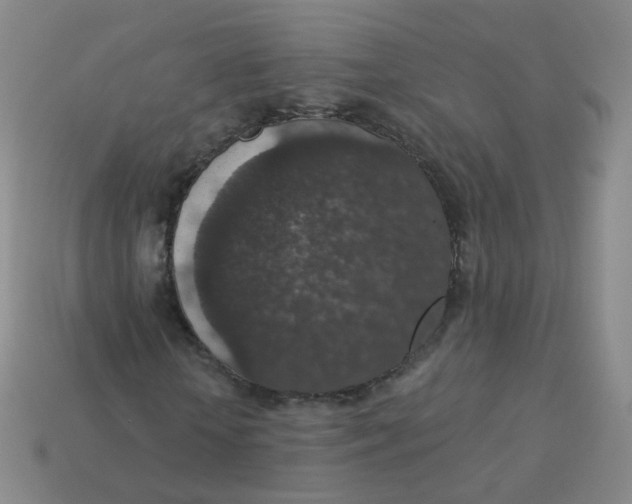 X0000113550818200910161432
