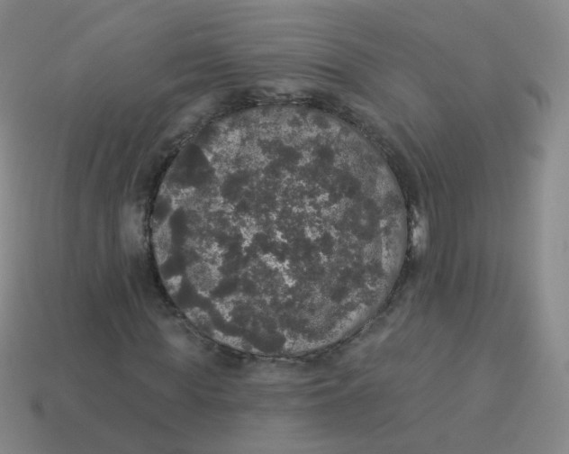 X0000113550819200910161432