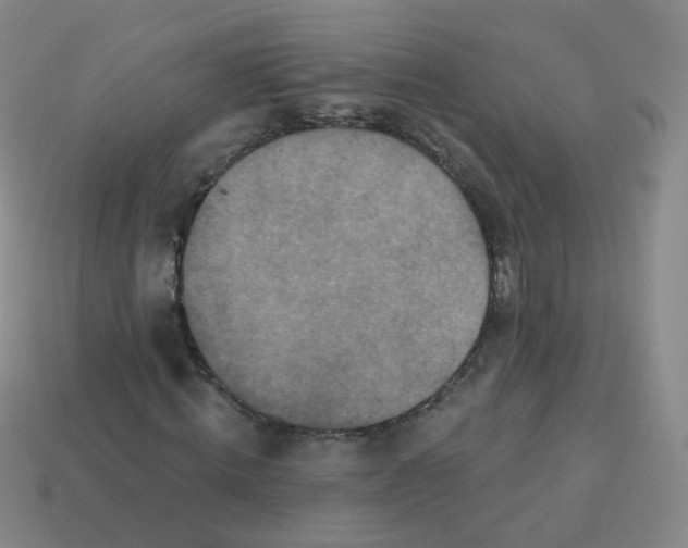 X0000113550820200910161432