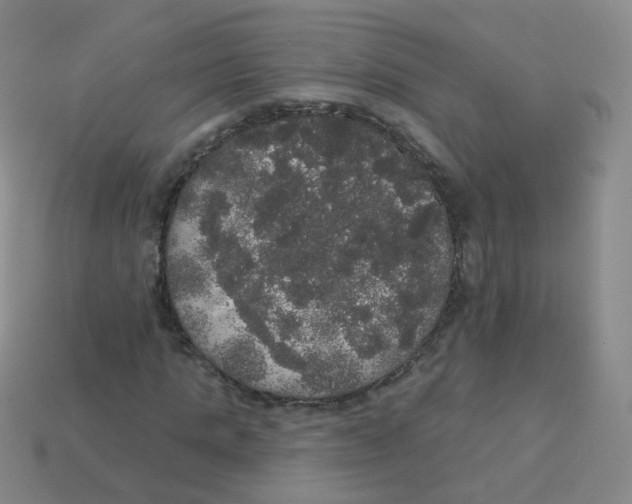 X0000113550821200910161432