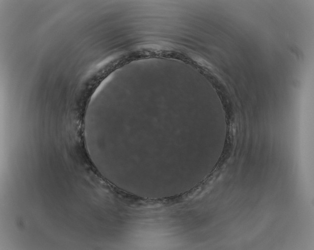 X0000113550822200910161432
