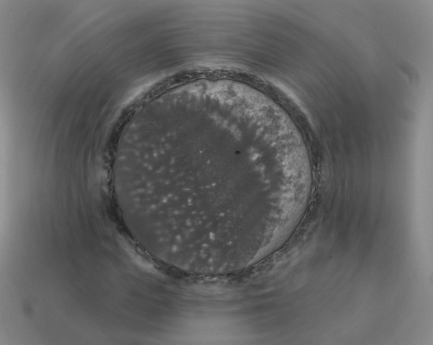 X0000113550823200910161432