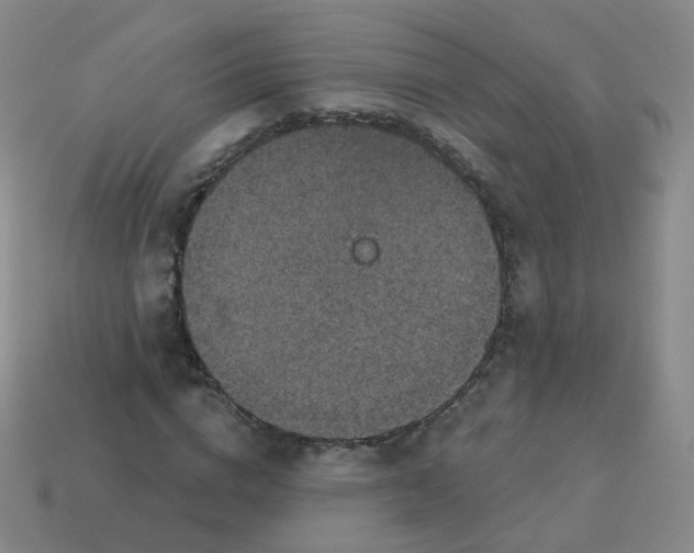 X0000113550824200910161432