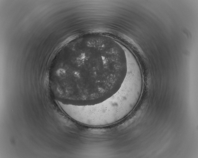 X0000113550825200910161432