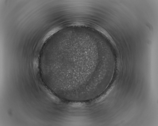 X0000113550826200910161432