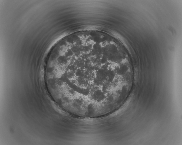 X0000113550827200910161432