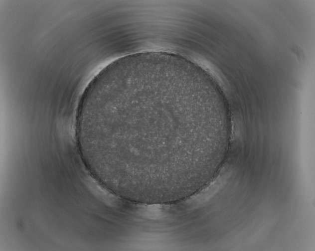 X0000113550828200910161432