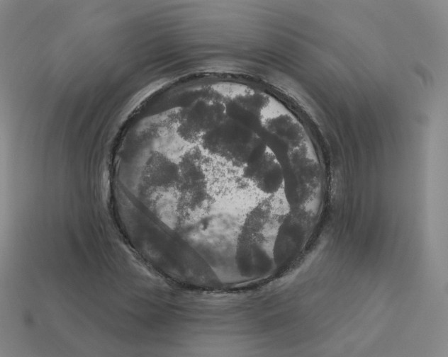 X0000113550829200910161432