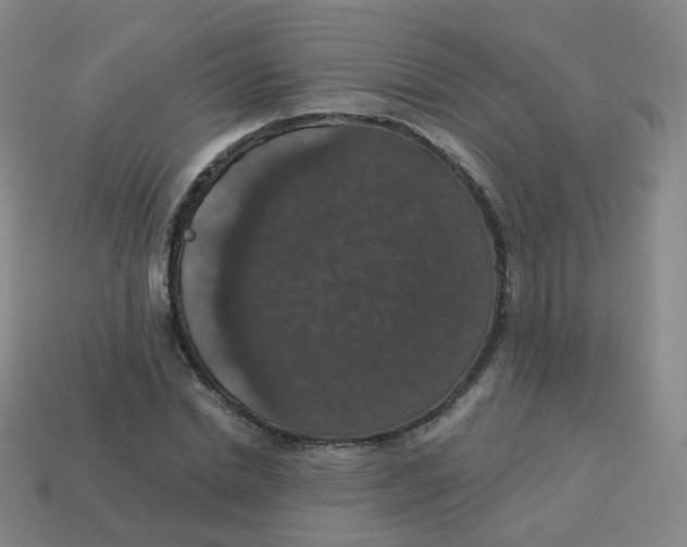 X0000113550830200910161432