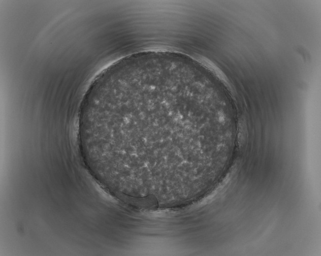 X0000113550831200910161432