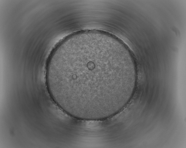 X0000113550832200910161432
