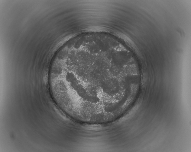 X0000113550833200910161432