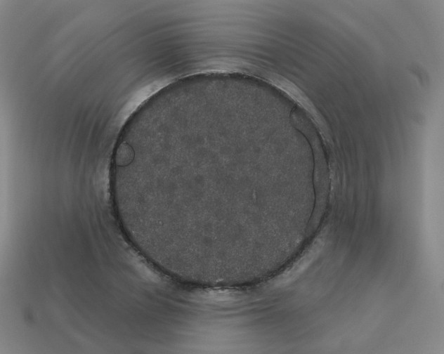 X0000113550834200910161432