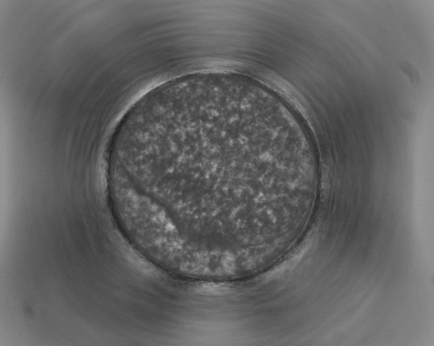 X0000113550835200910161432