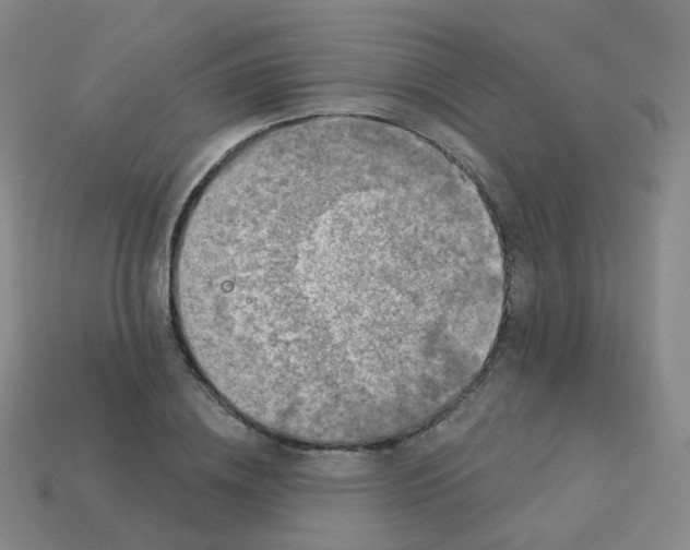 X0000113550836200910161432