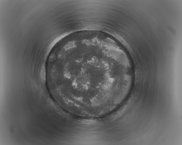X0000113550838200910161432
