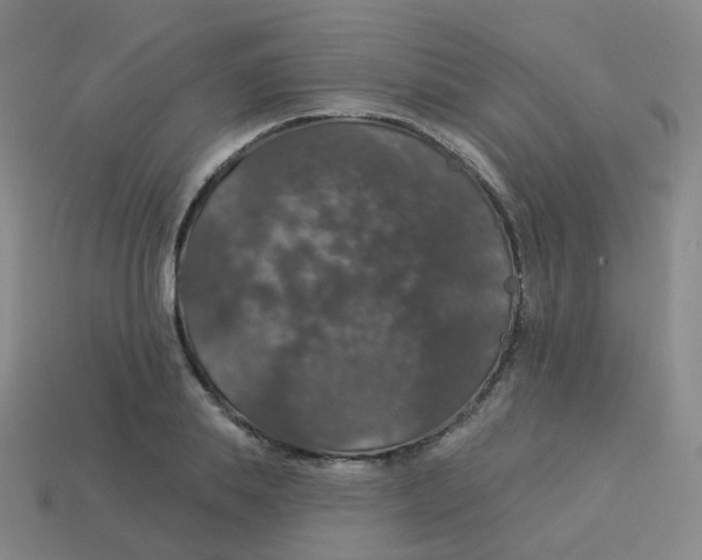 X0000113550839200910161432