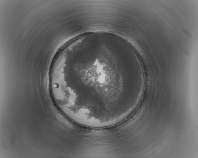 X0000113550840200910161432