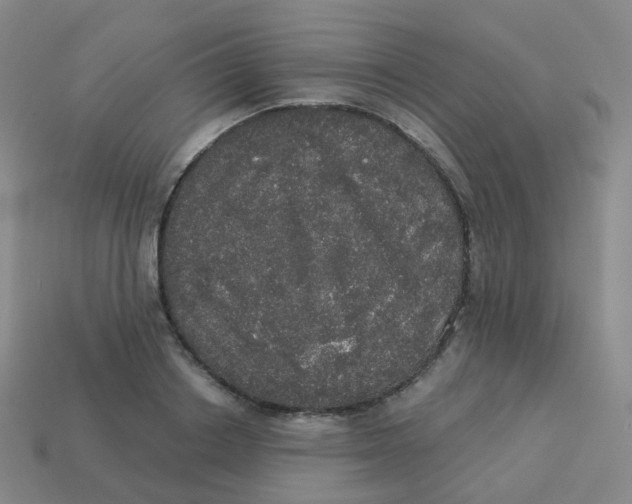 X0000113550842200910161432