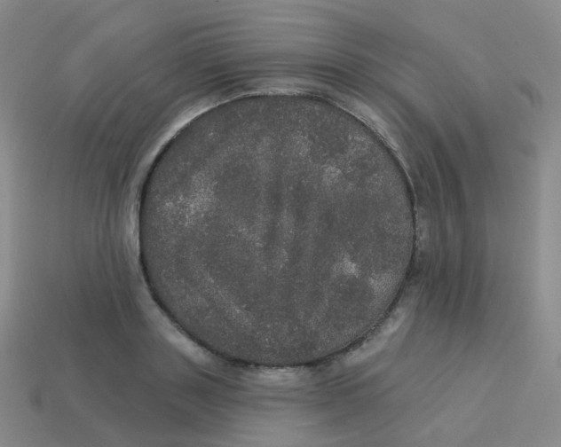 X0000113550843200910161432