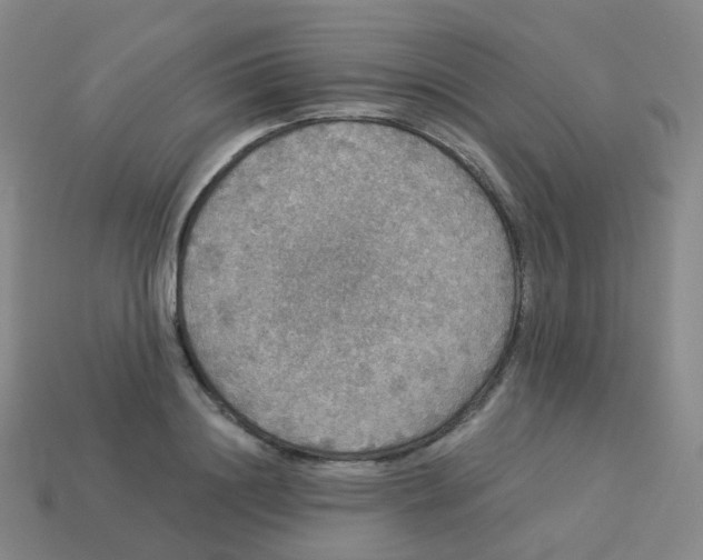 X0000113550844200910161432