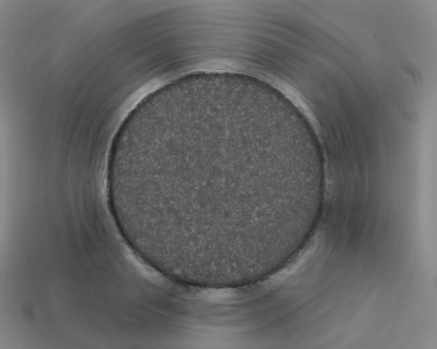 X0000113550845200910161432